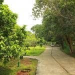 Way to zen garden