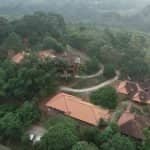 Birds view